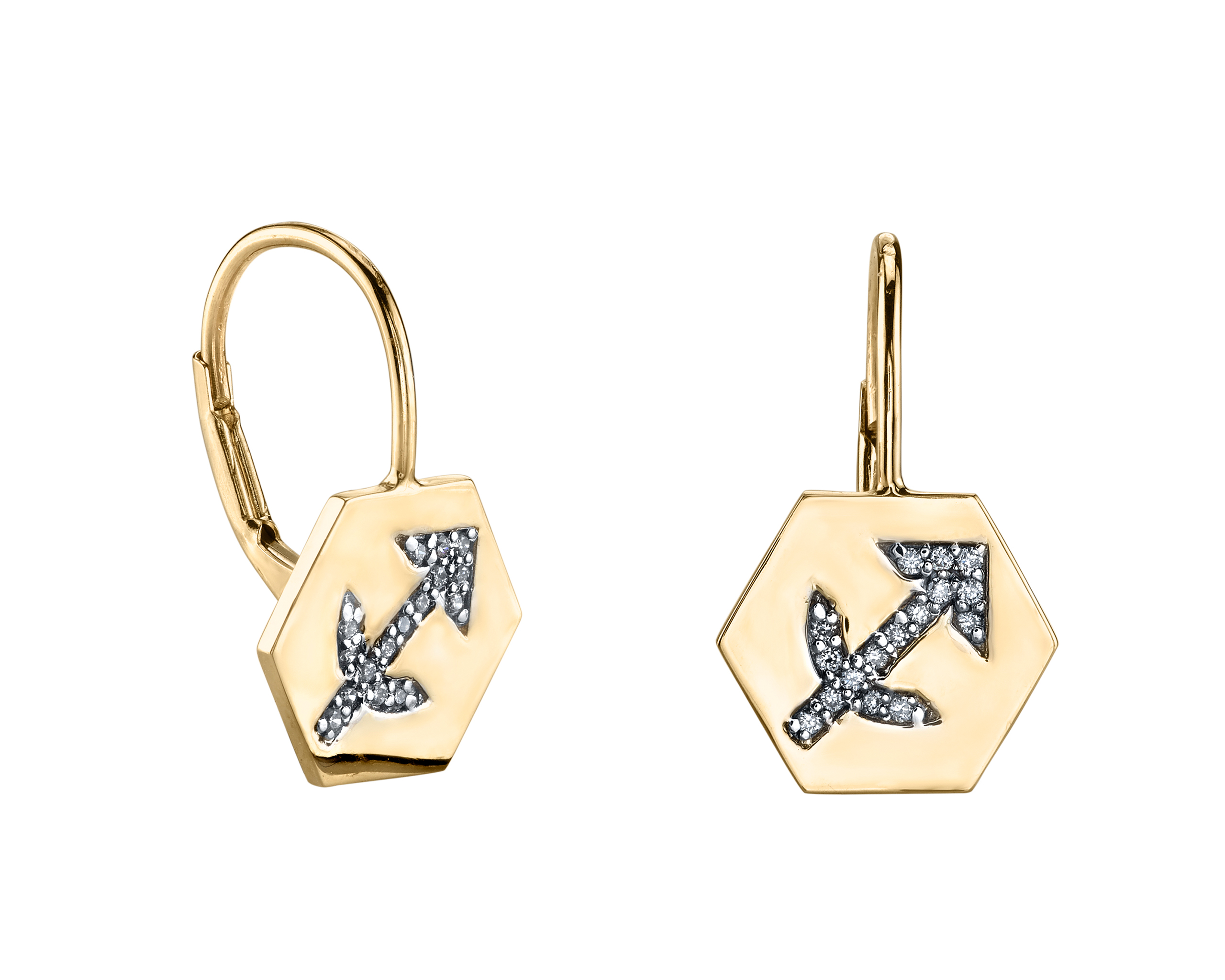 Sagittarius Earrings