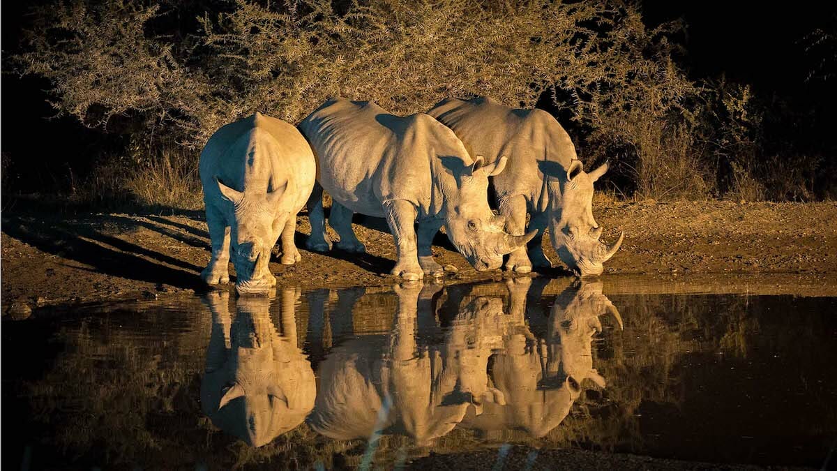 Landscape in Botswana