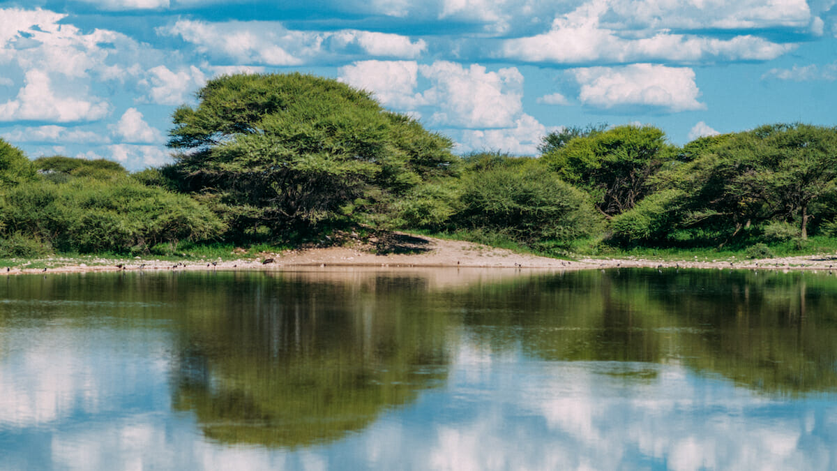 Landscape in Botswana