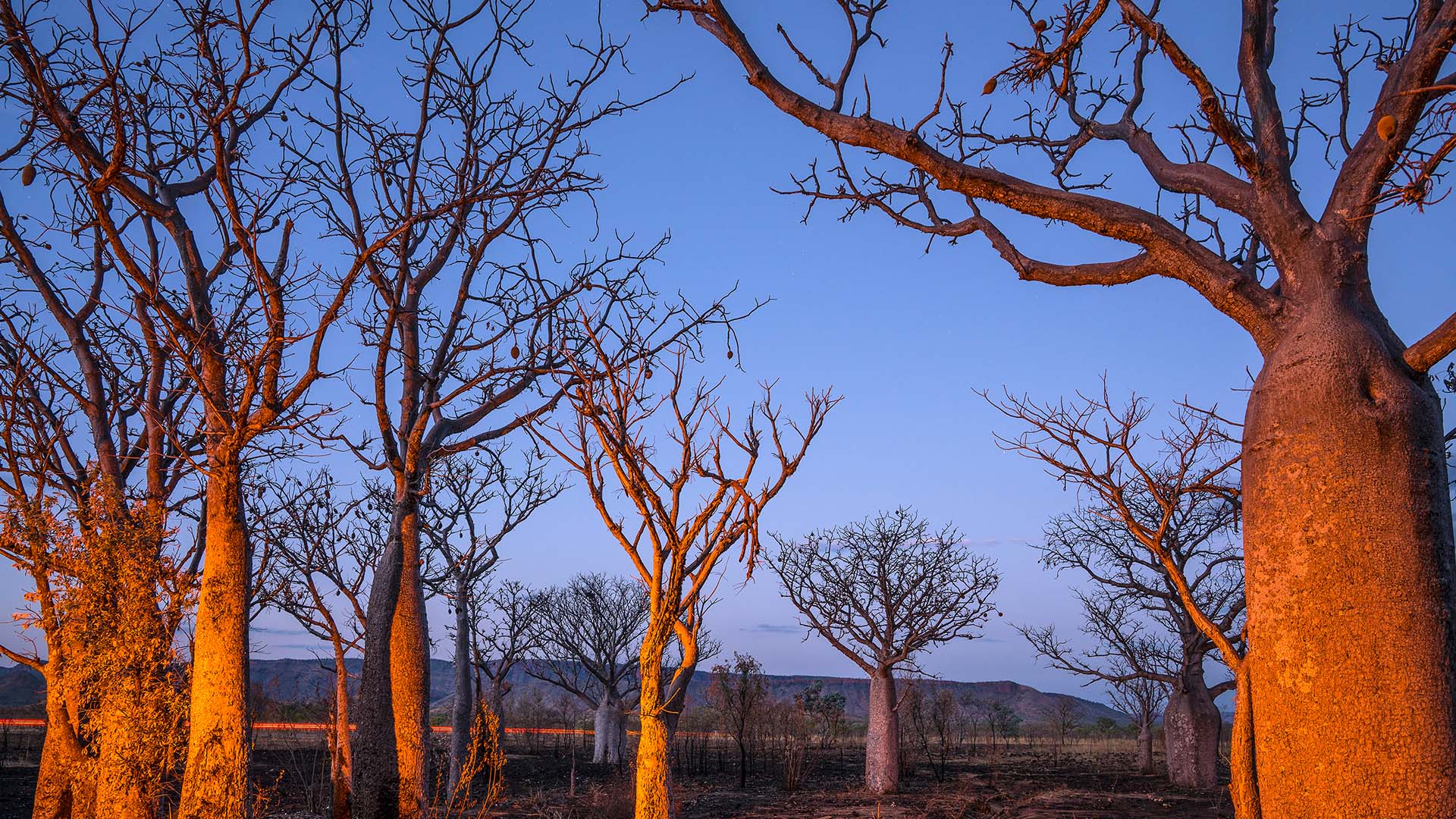 Vista in Australia's East Kimberley Region