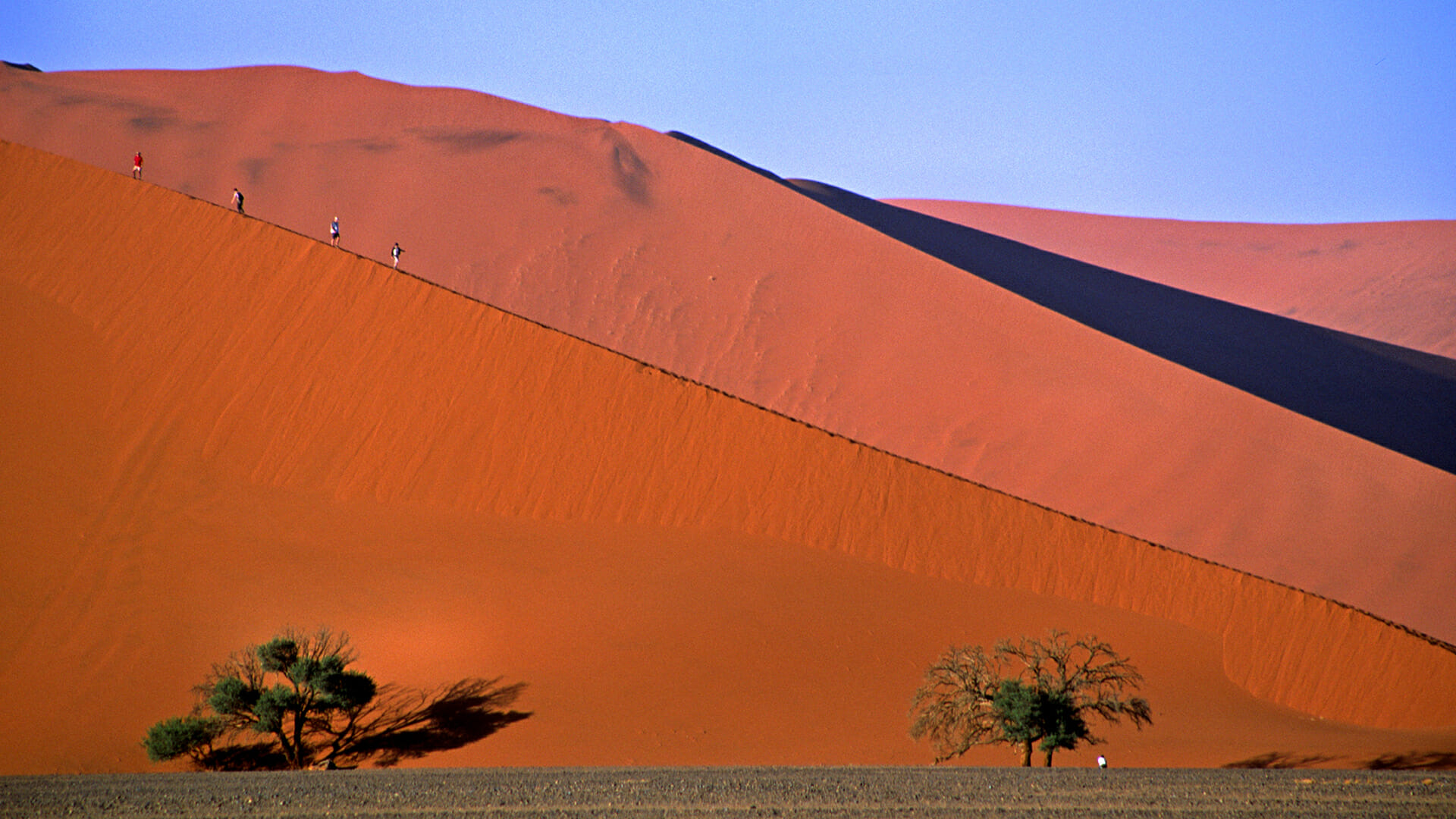 destination diamonds namibia  africa travel sand