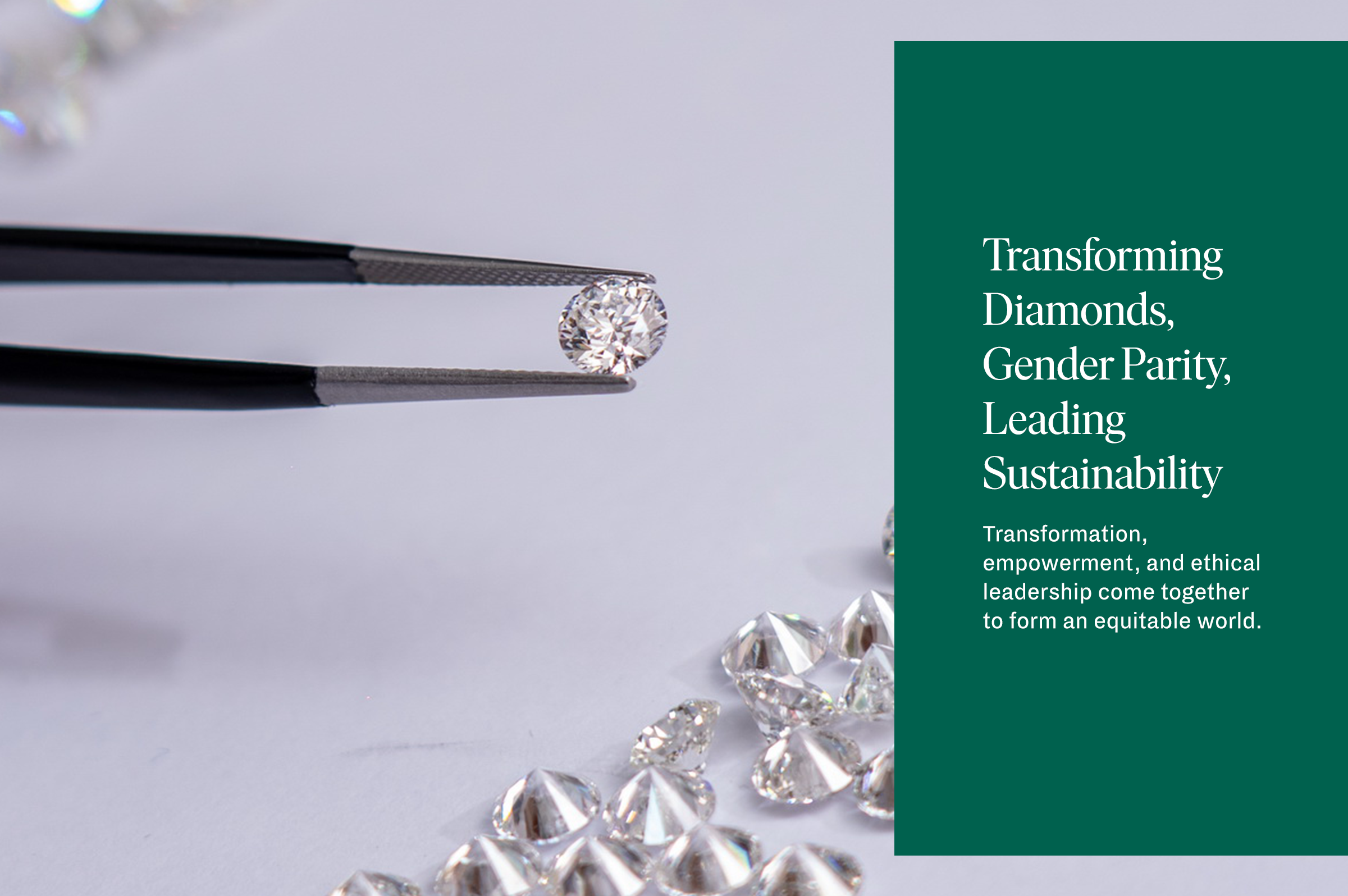 DIANCO setting a new standard for the diamond industry   