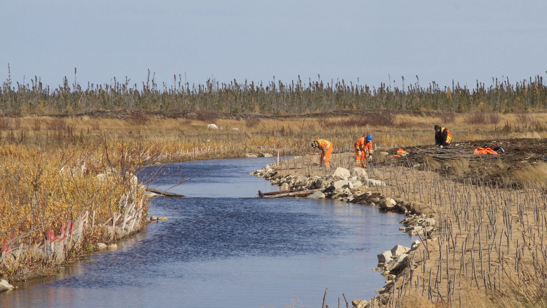 Planting stakes at De Beers’ Victor diamond mine in Canada as part of the award winning post-closure reclamation program. 